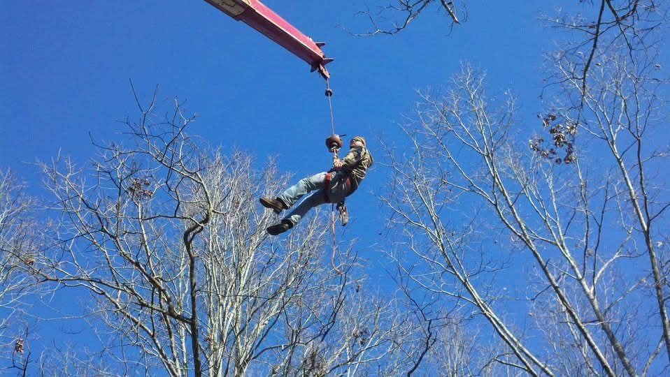 Man suspended in the air by a crane, likely trimming a tree. Bright blue sky, bare trees.