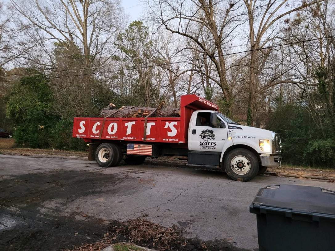 Truck loaded with tree branches, labeled 