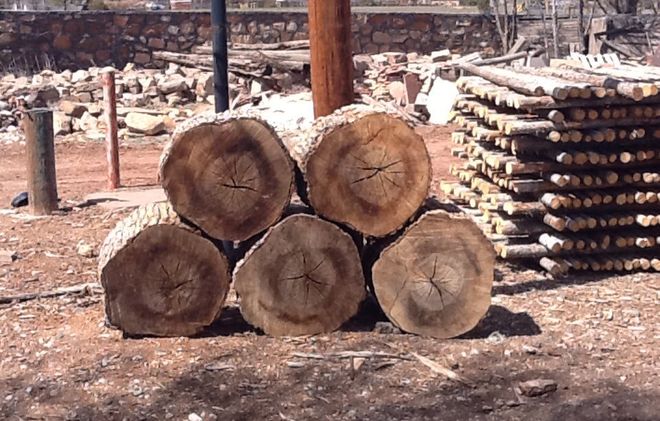 Large logs - Firewood in Santa Fe NM