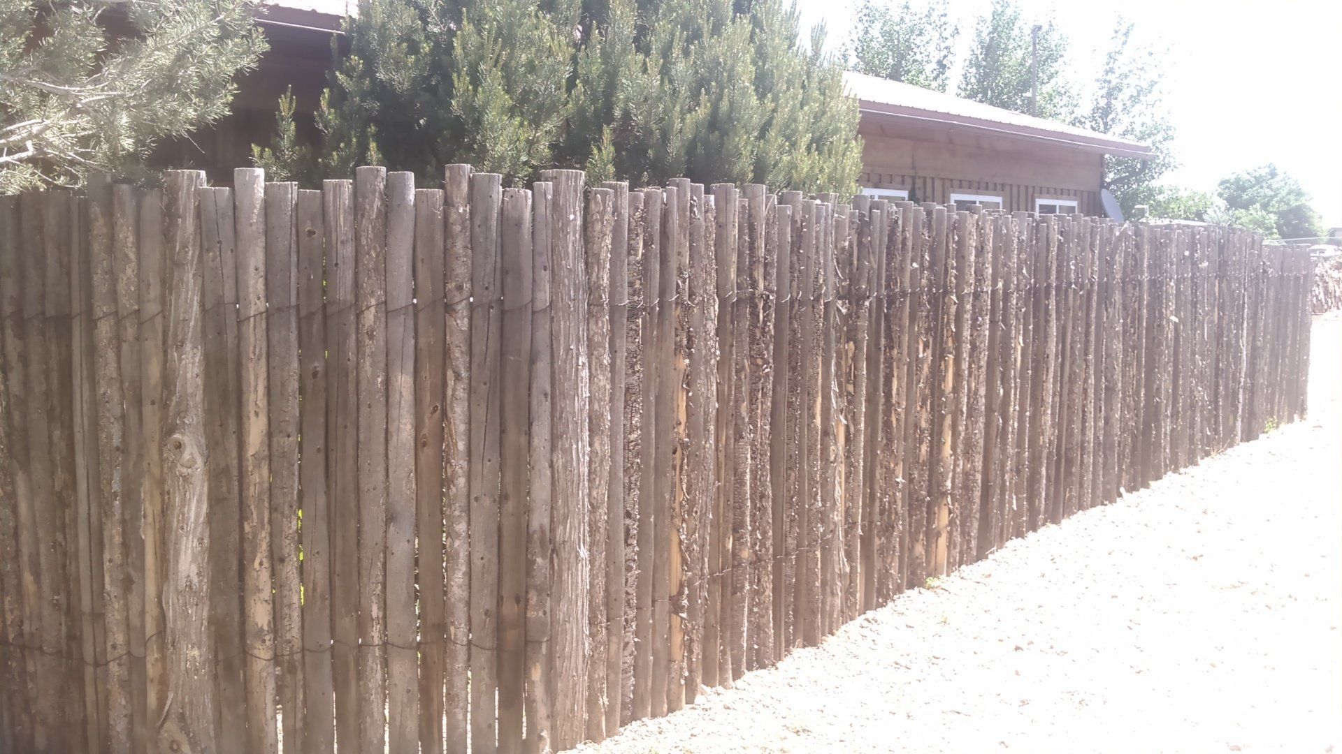 Coyote fencing with uneven edges - Coyote Fencing in Santa Fe NM