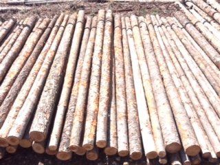 Coyote posts - Coyote Fencing in Santa Fe NM