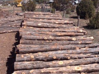 Cedar fencing posts - Coyote Fencing in Santa Fe NM