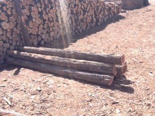 Fur fence posts - Coyote Fencing in Santa Fe NM