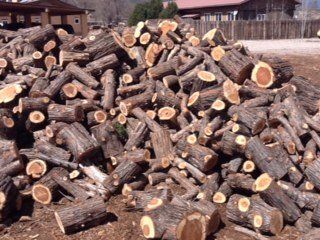 Pile of unsplit firewood - Firewood in Santa Fe NM