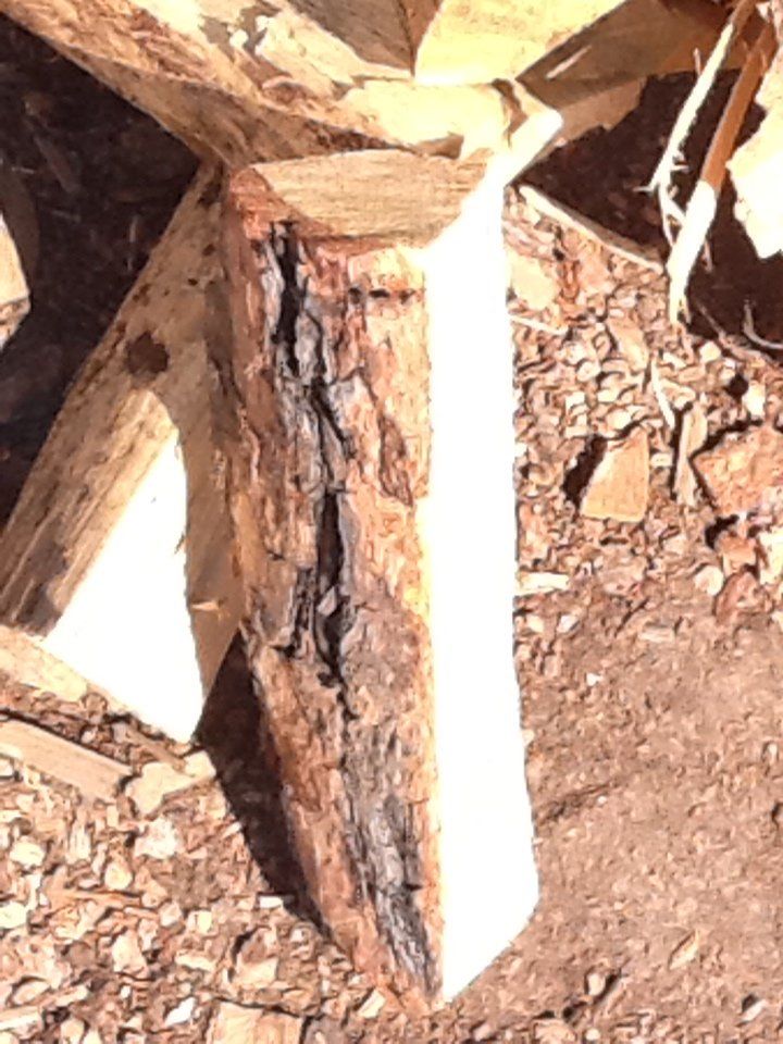 Split firewood standing up - Firewood in Santa Fe NM