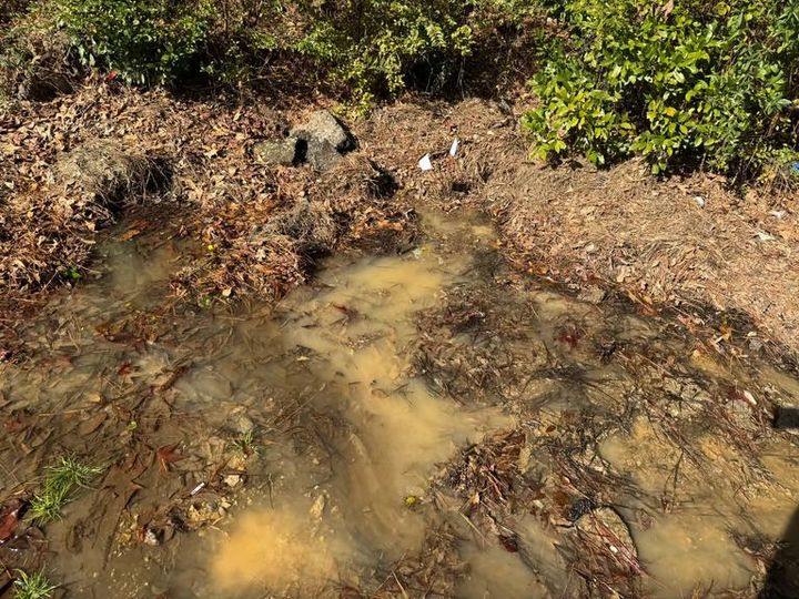Muddy stream water flowing through a rocky, leaf-covered creek bed with green shrubs Muddy stream water flowing through a rocky, leaf-covered creek bed with green shrubs