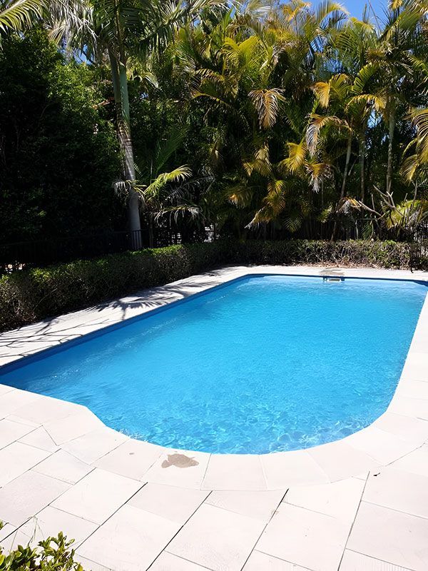 A Large Swimming Pool Surrounded By Palm Trees On A Sunny Day — Pool Zone in Port Macquarie, NSW