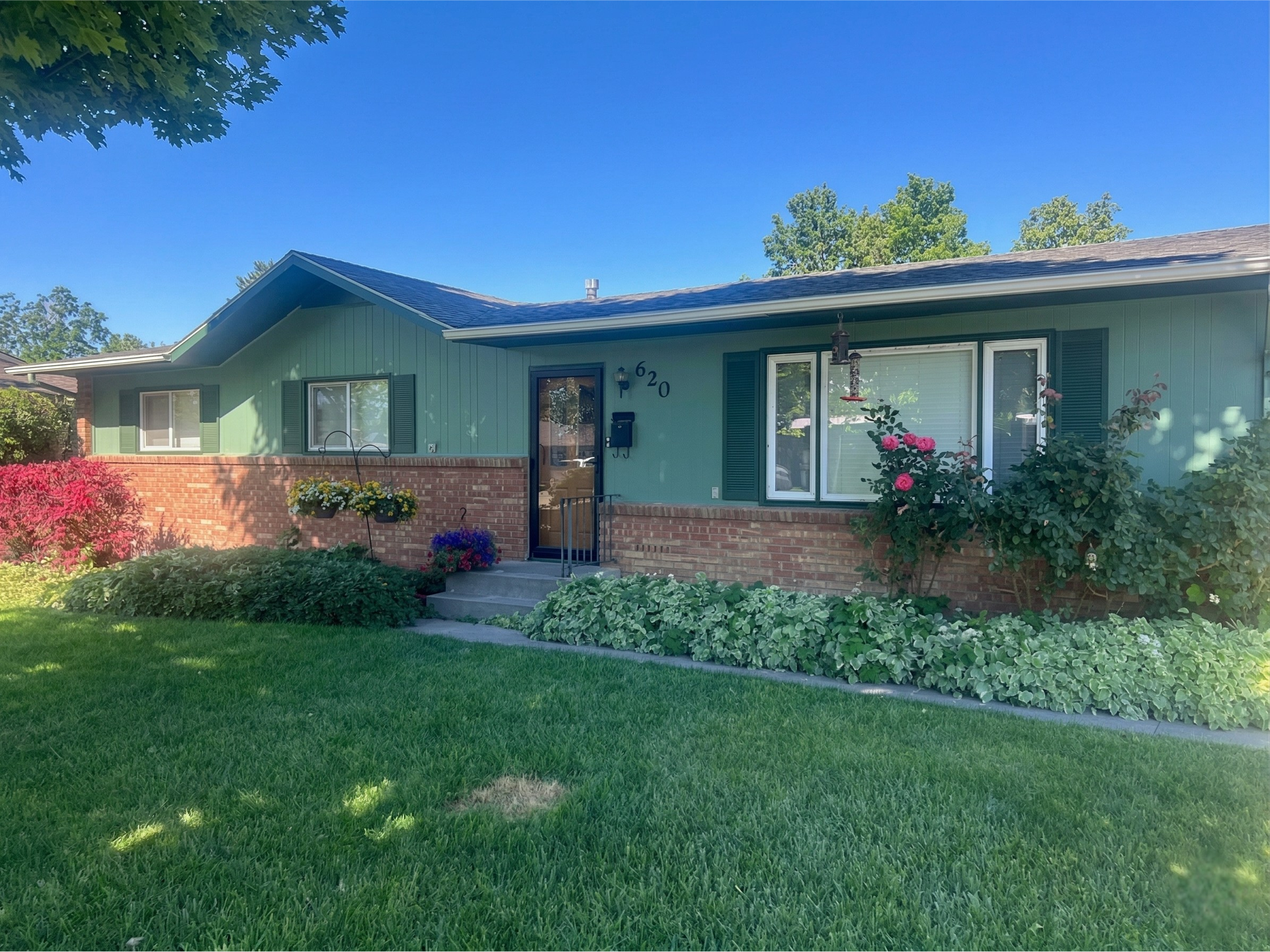 House exterior with a tree in front. Beige siding, blue trim, and a lawn.
