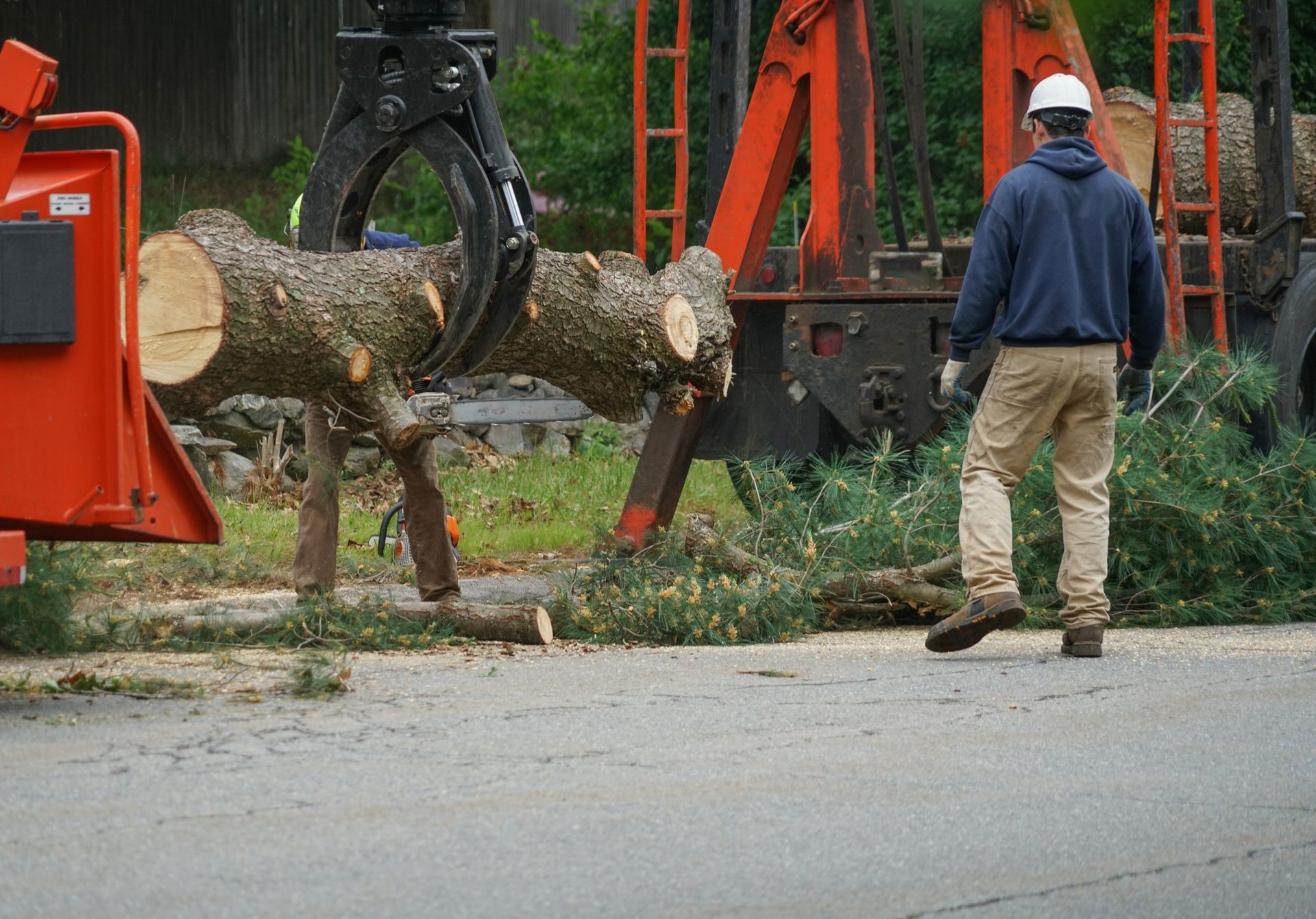 A worker in a hard hat watches a hydraulic log grapple lift a large, cut tree trunk near a trailer.