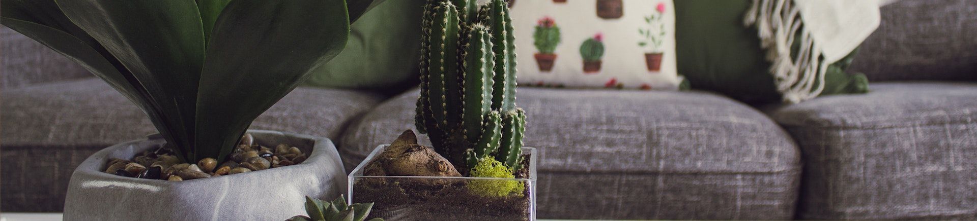 Adding square feet with new construction on a home in Mill Valley