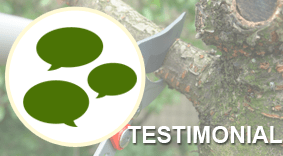 Testimonial Graphic - Tree Specialists