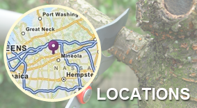 Map - Tree Specialists