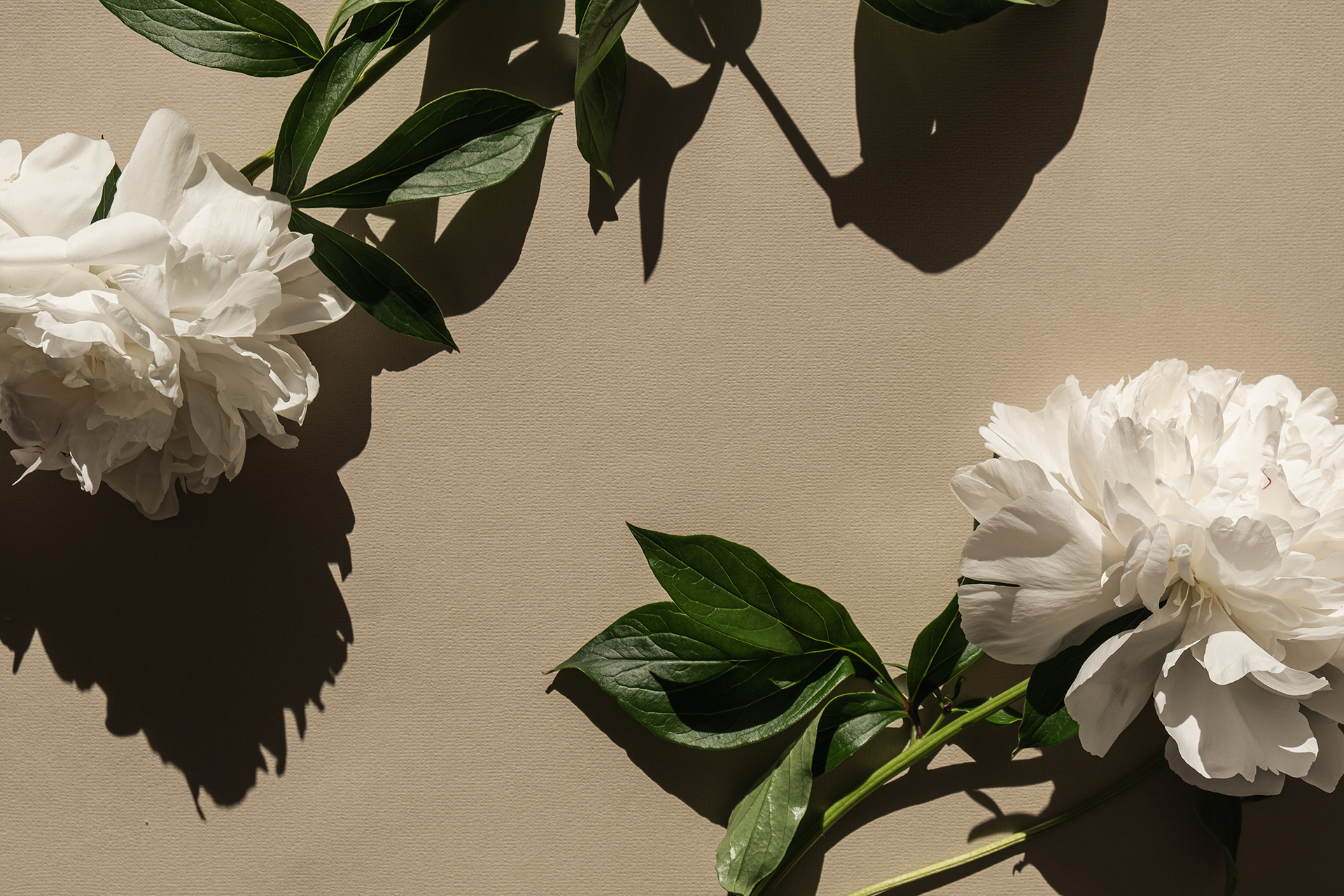 secure online appointment