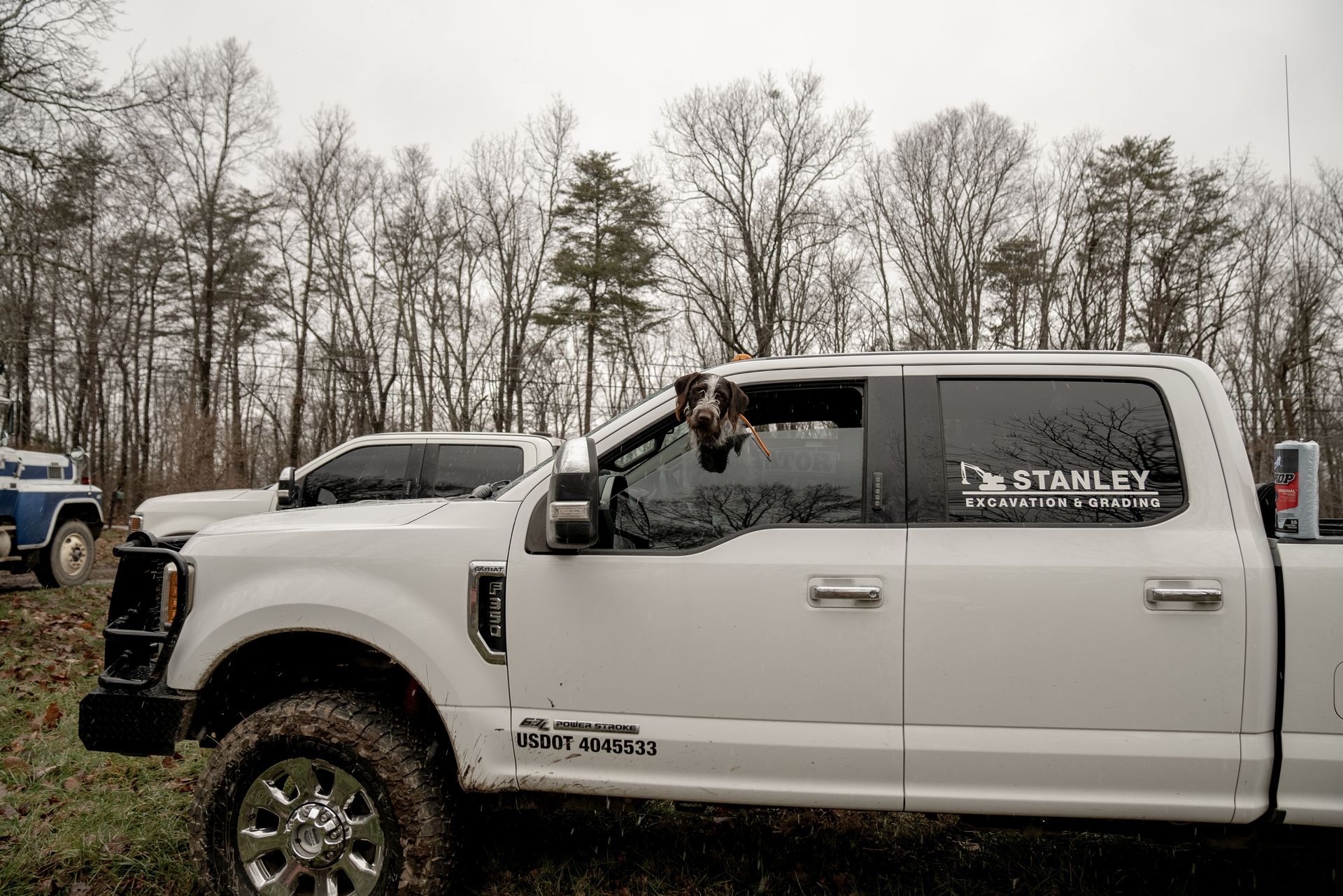 White pickup truck parked outdoors; a dog looks out the window. Trees in the background, overcast sky.