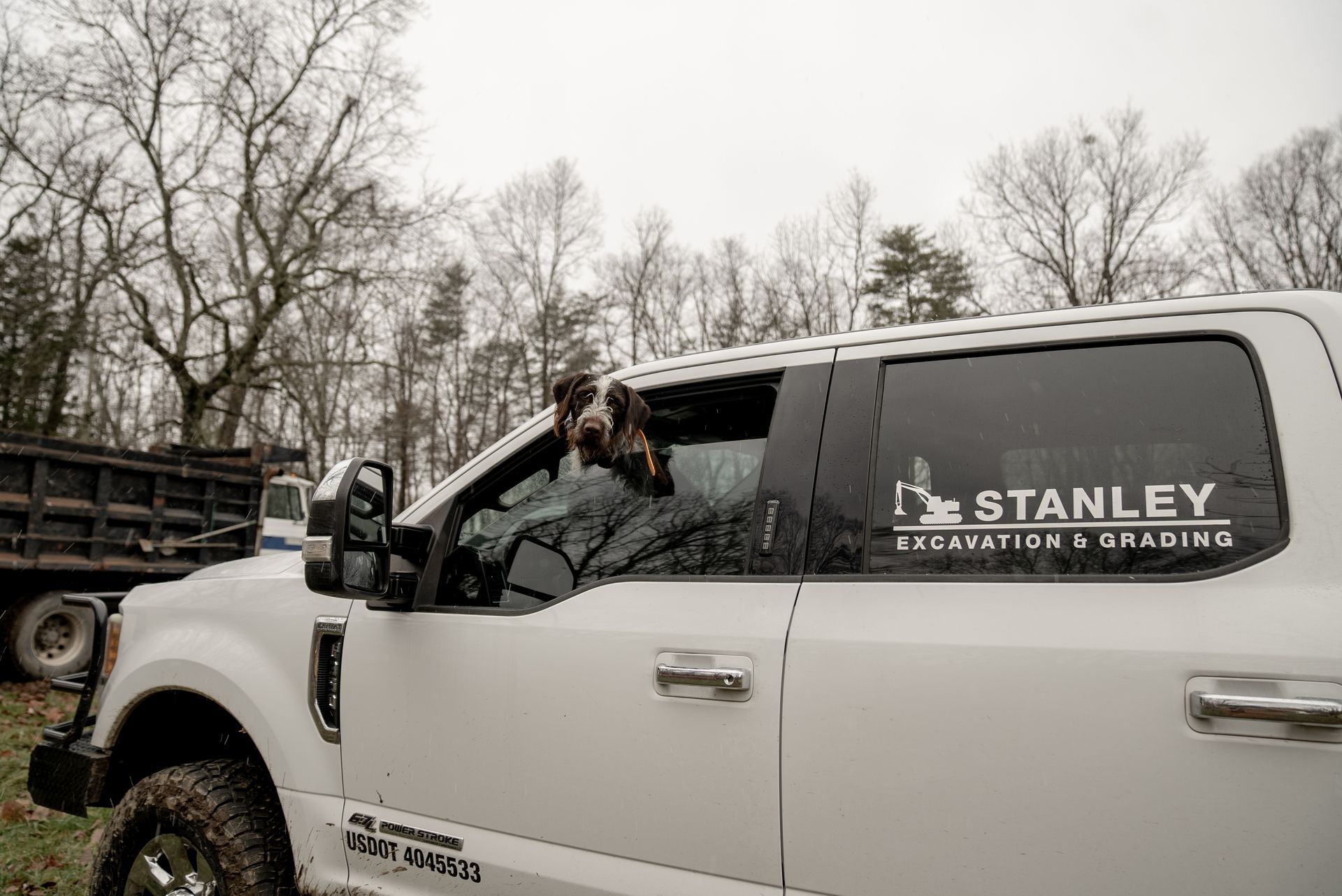 Dog leaning out of white truck window, parked near trees, with 