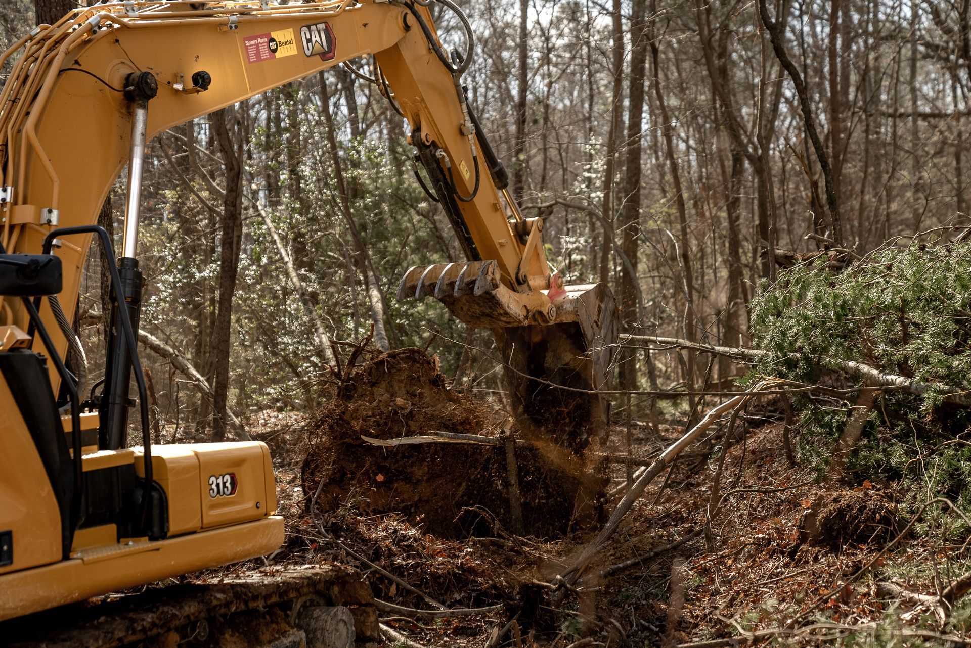 Yellow excavator clearing brush in a wooded area.