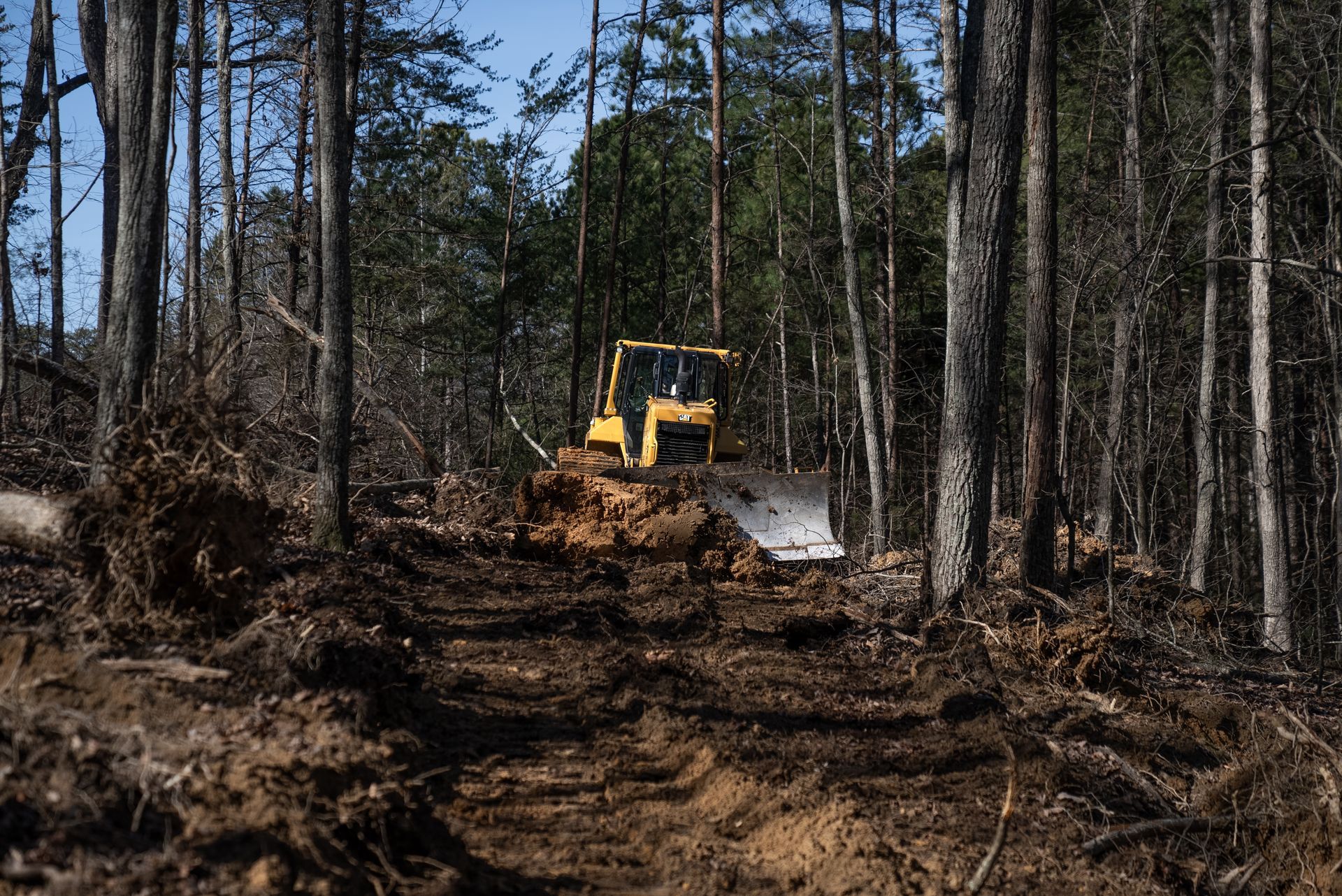 Bulldozer clearing trees in a forest, creating a path through the brown earth.