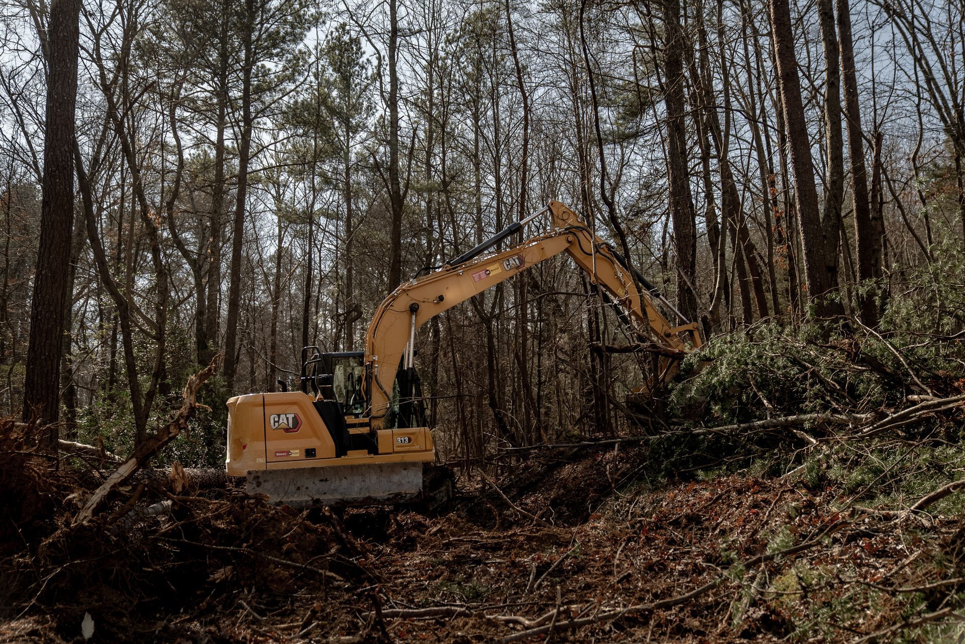 Yellow excavator clearing trees in a forest.