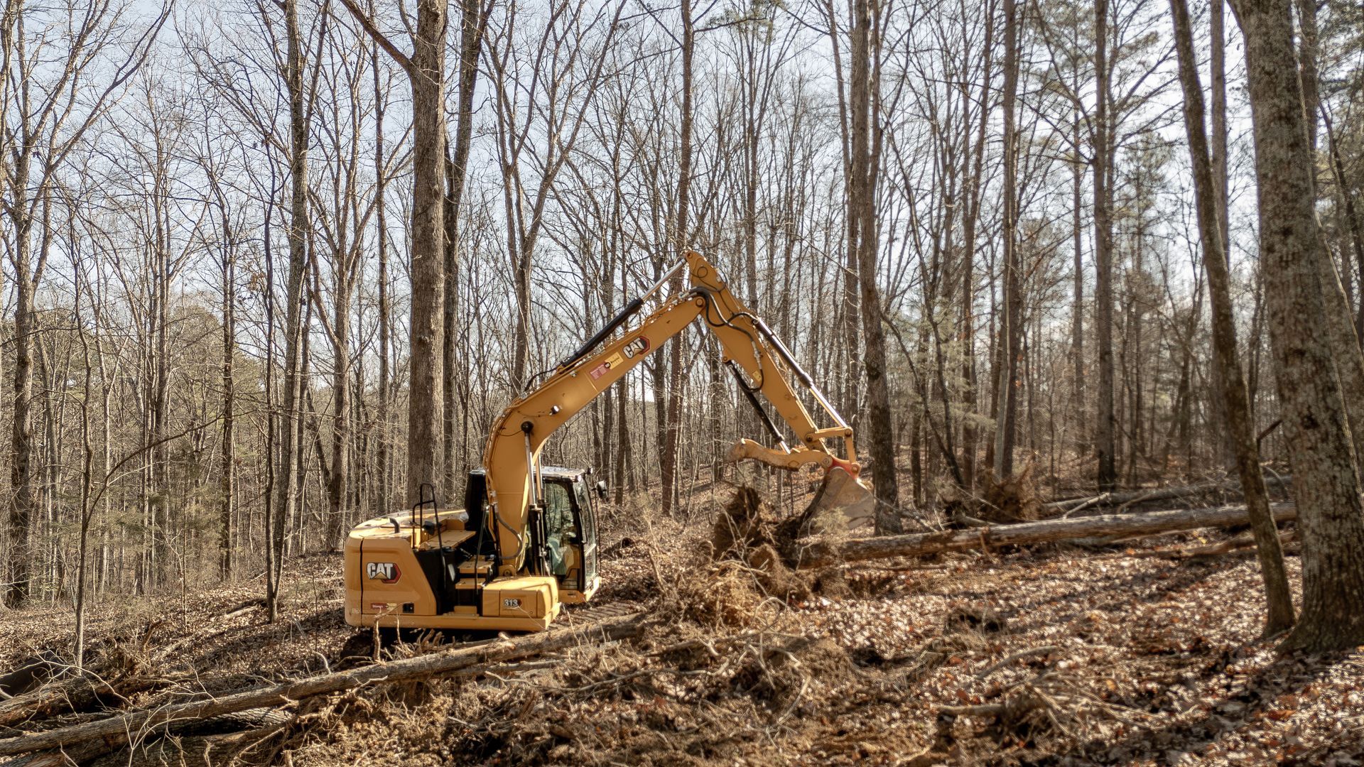 Yellow excavator clearing a forest area of fallen trees and debris.