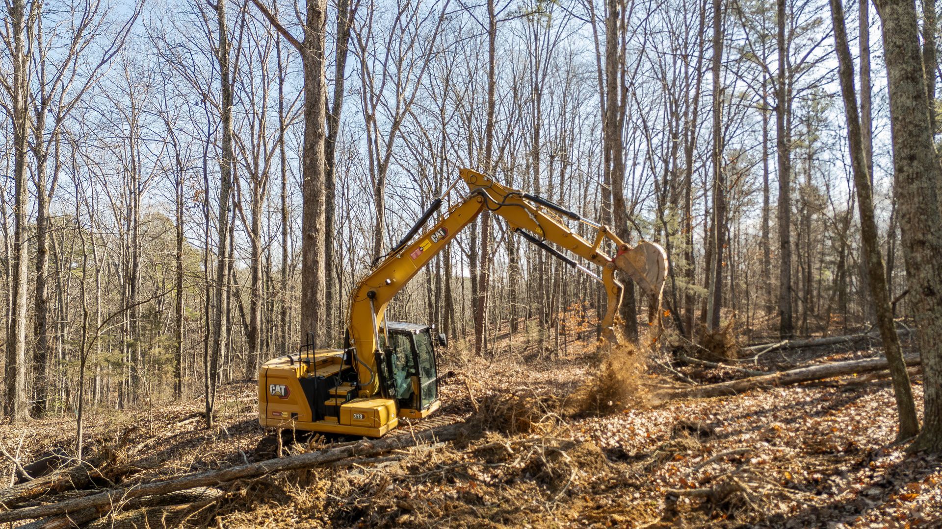 Yellow excavator clearing brush in a wooded area, brown leaves and trees, blue sky.