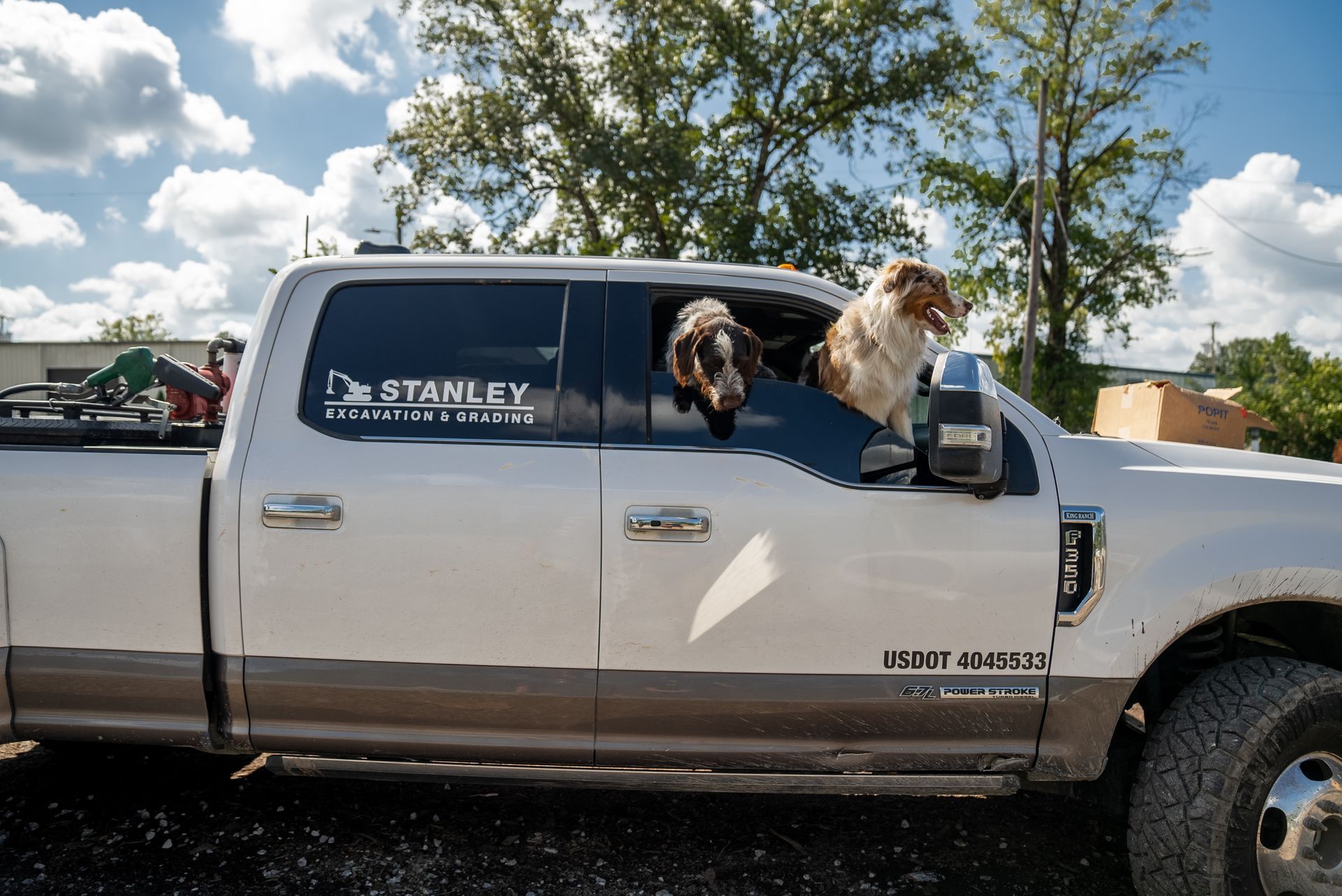 Two dogs lean out of a white pickup truck window on a sunny day.