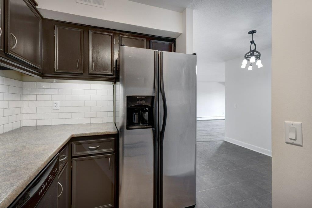 Calgary condo kitchen 2