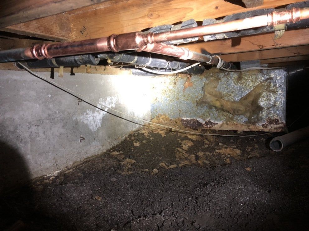 Rust stains on a concrete foundation, below copper pipes and wooden beams, in a dark crawlspace.