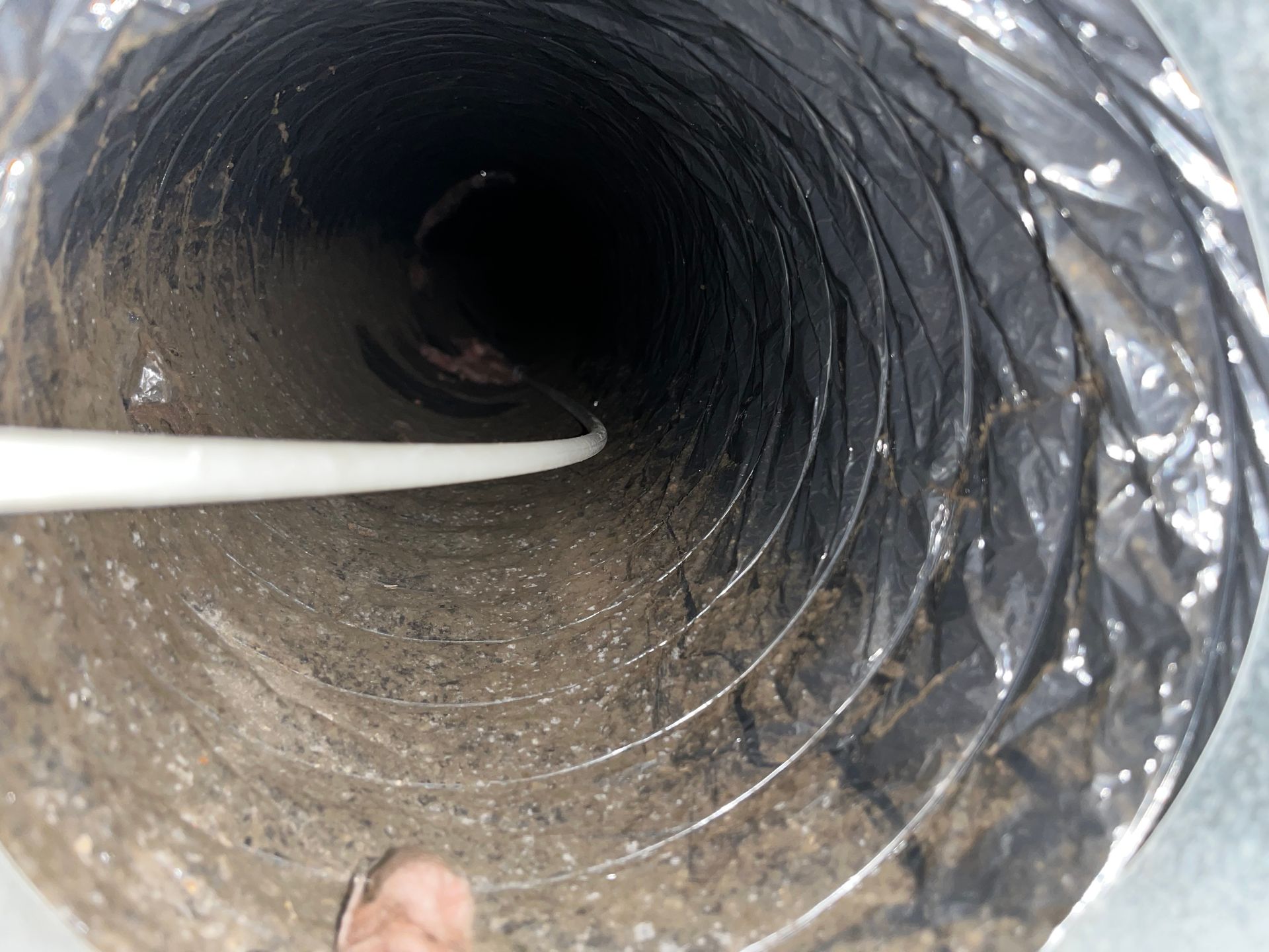 Looking down a dusty, flexible air duct. A white tool extends into the dark interior.