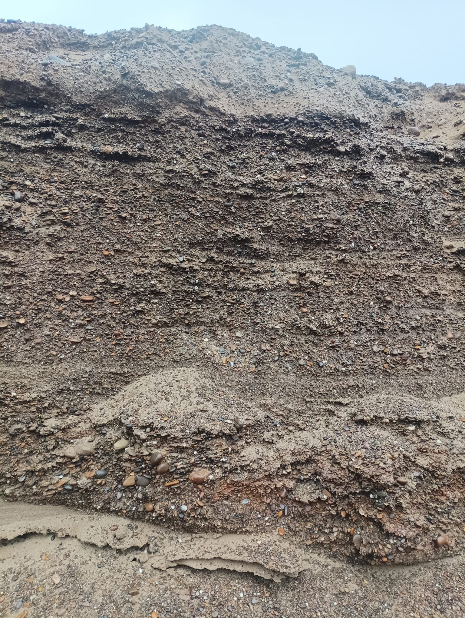 Un primo piano di un paesaggio roccioso con montagne sullo sfondo.
