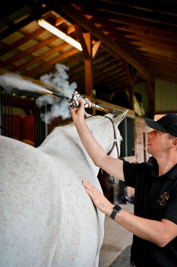 Person grooming a white horse in a stable, spraying its mane with water.