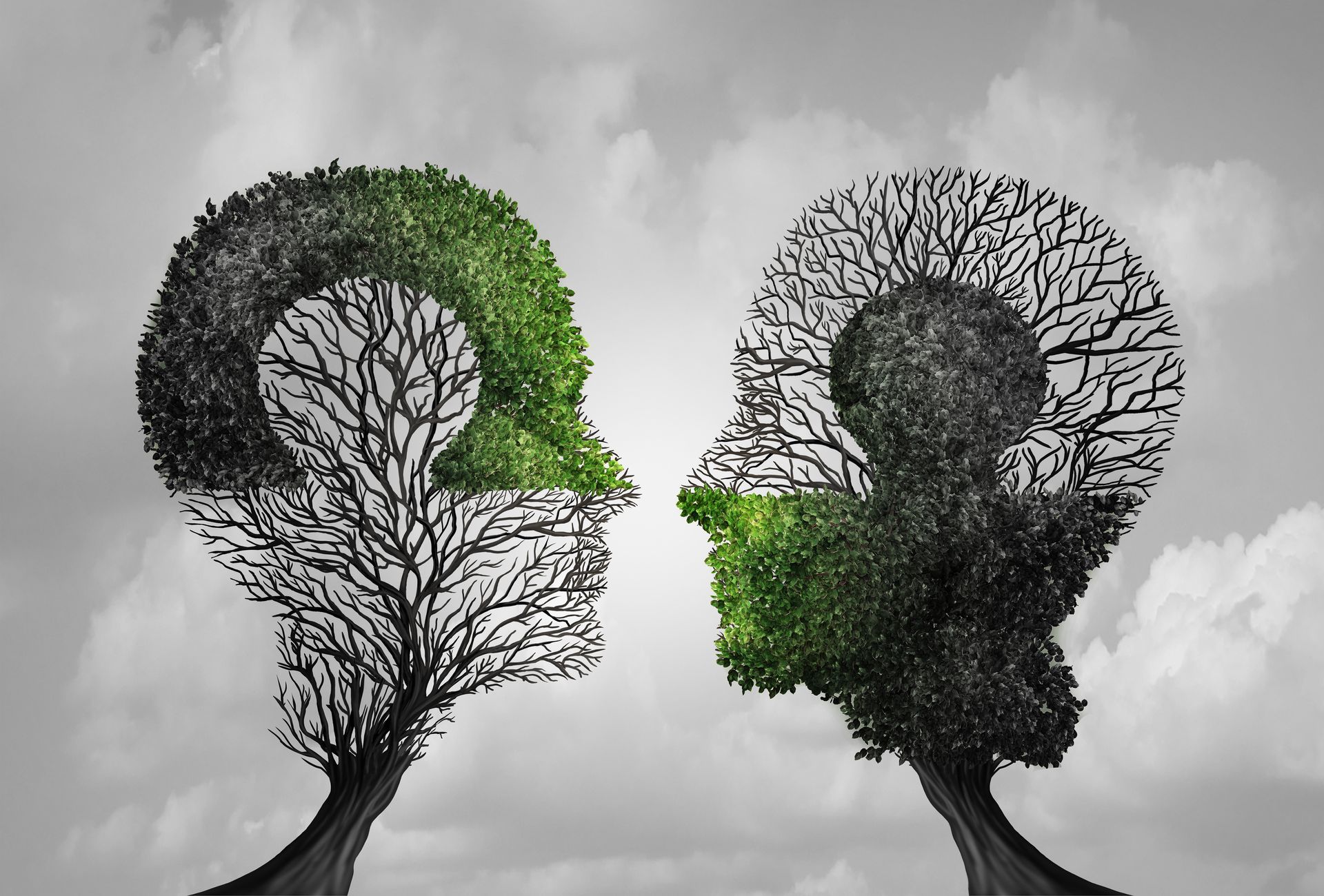 Two tree-shaped heads facing each other; one green, one dark, with a cloudy background.