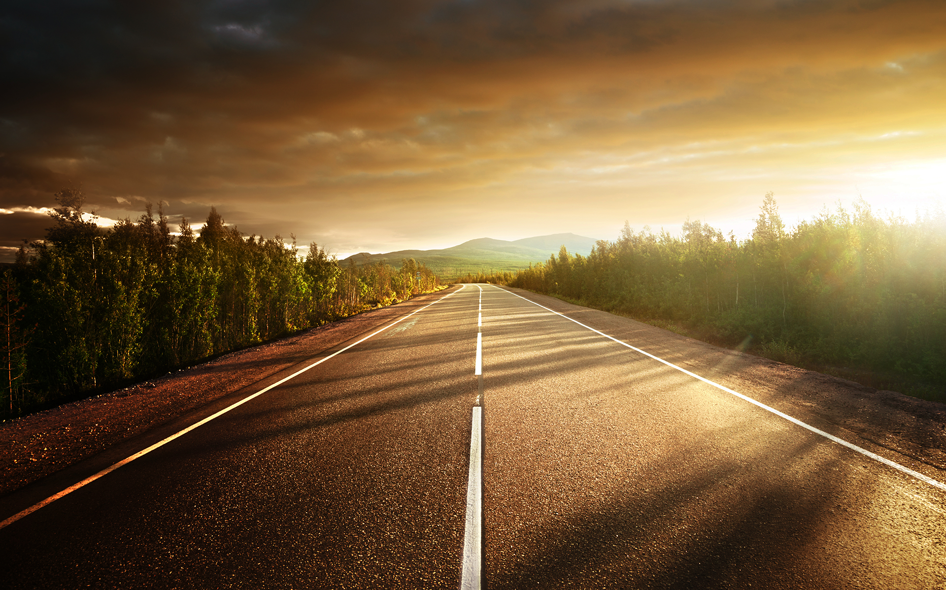 Road through a forest, leading towards a bright sunset, with trees lining the edges.