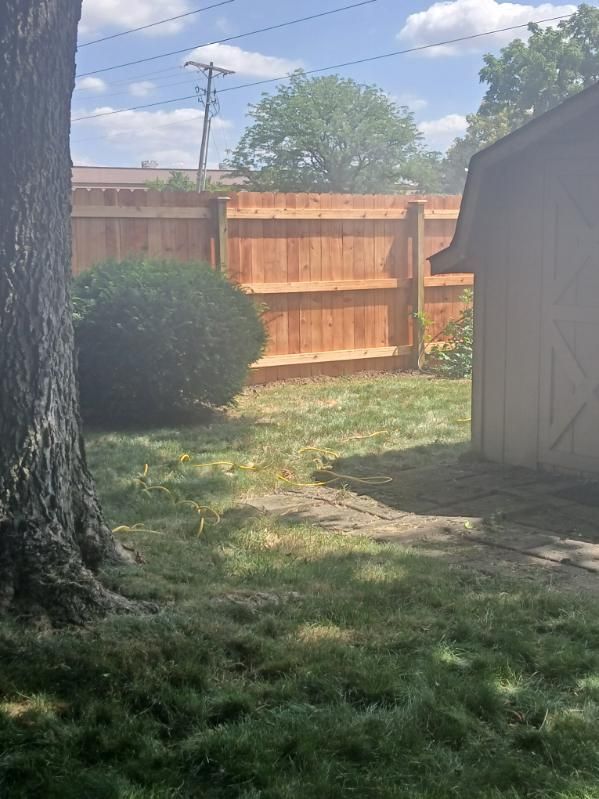 A backyard with a wooden fence and a shed.