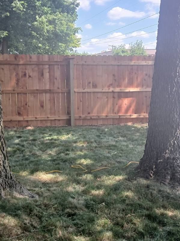 A wooden fence is surrounded by grass and trees in a backyard.