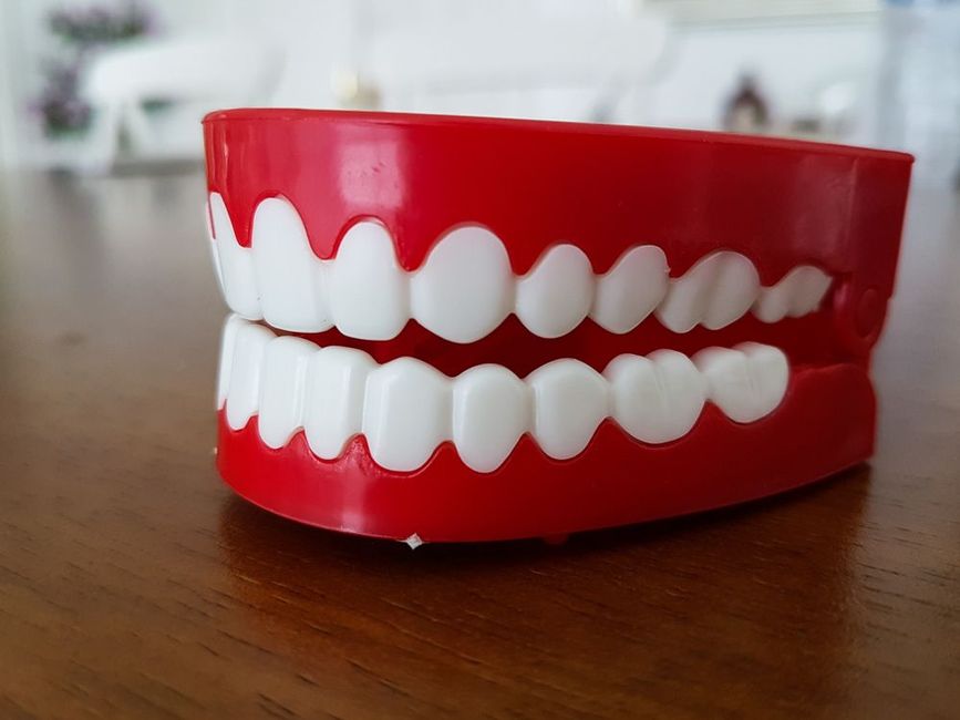 A Red Teeth Model With White Teeth on a Wooden Table — Graham Johnson Dental Surgery In Beresfield, NSW