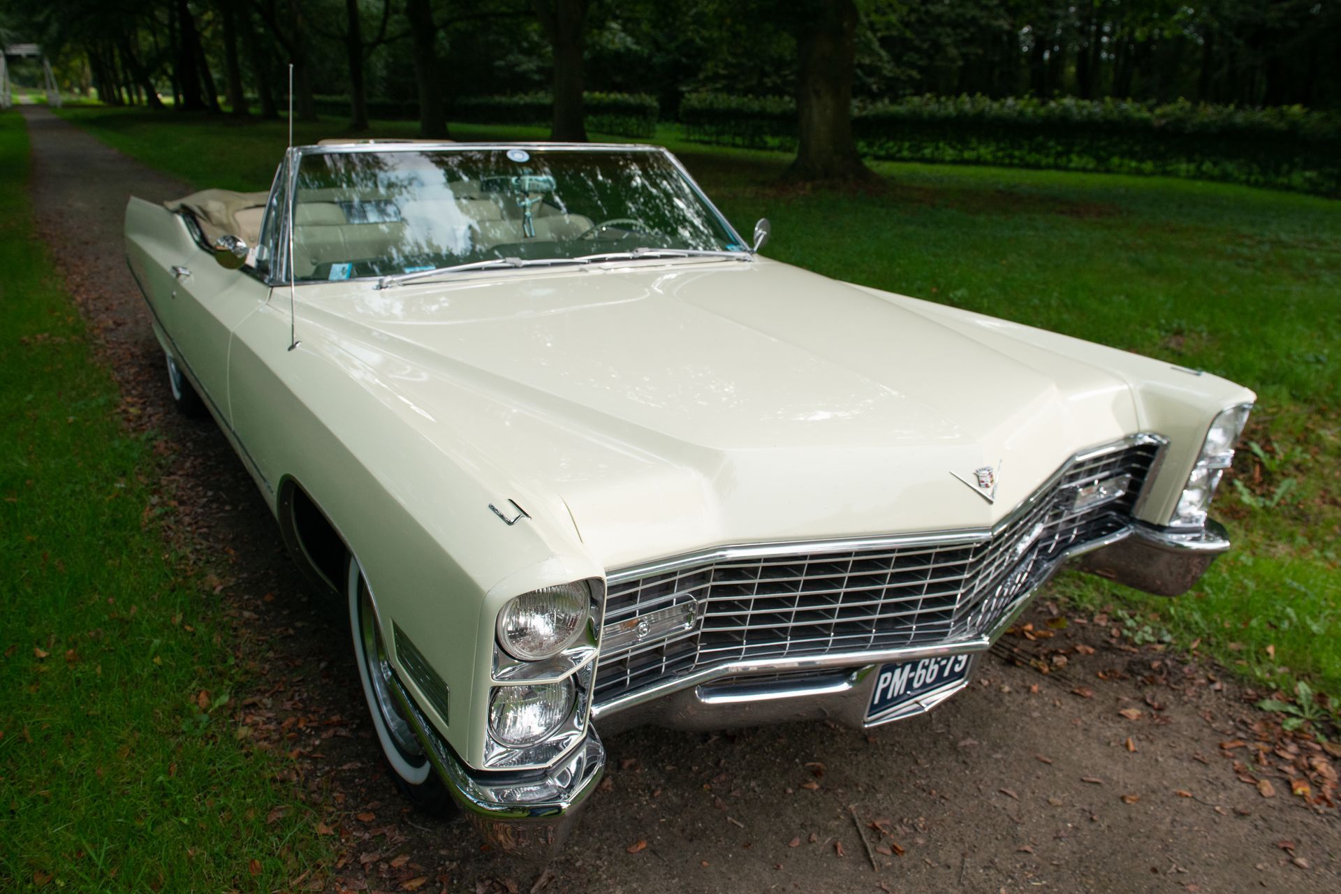 Witte Cadillac 2