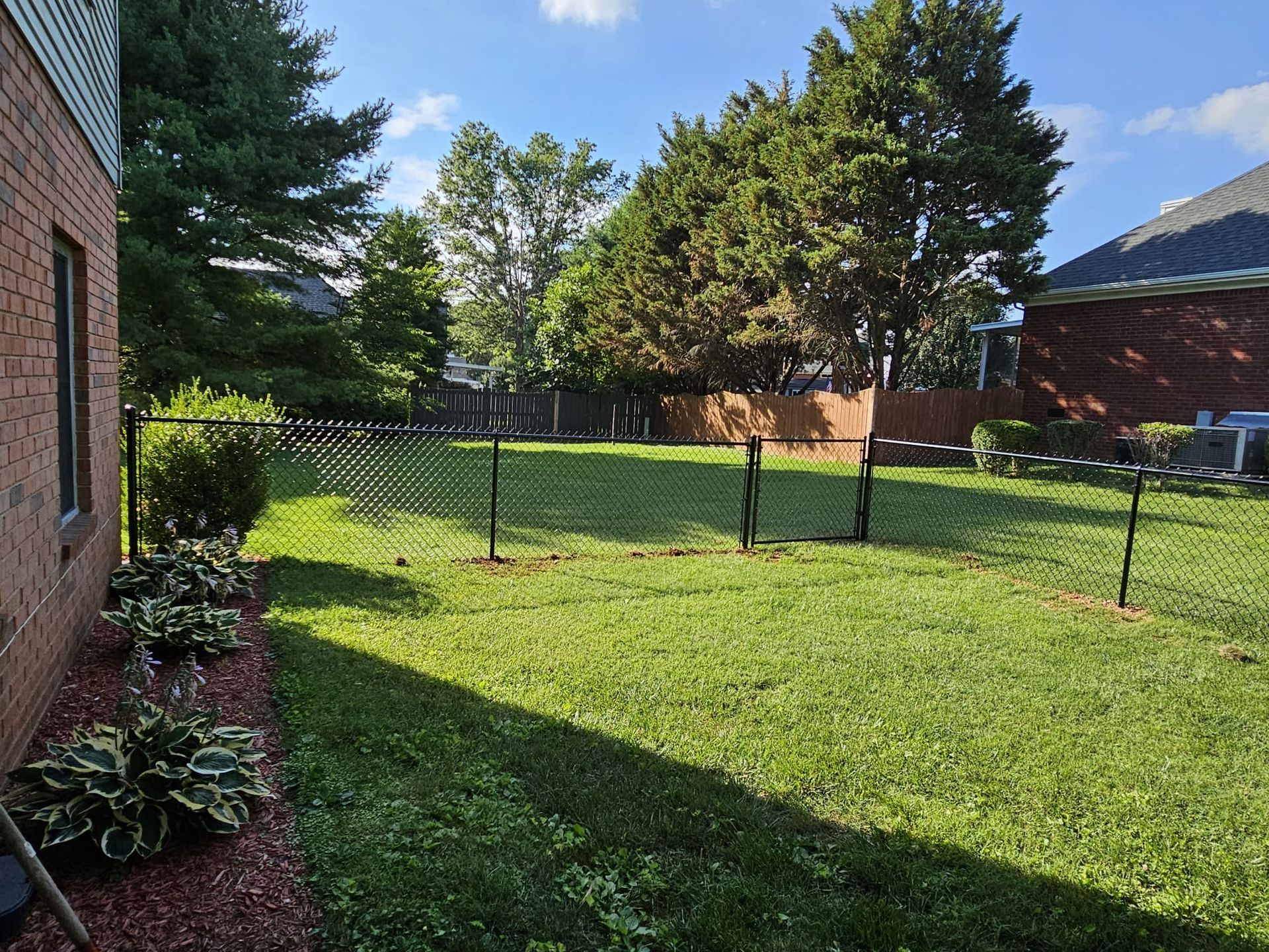 Backyard with chain-link fence, green grass, trees, and a brick house under a blue sky.