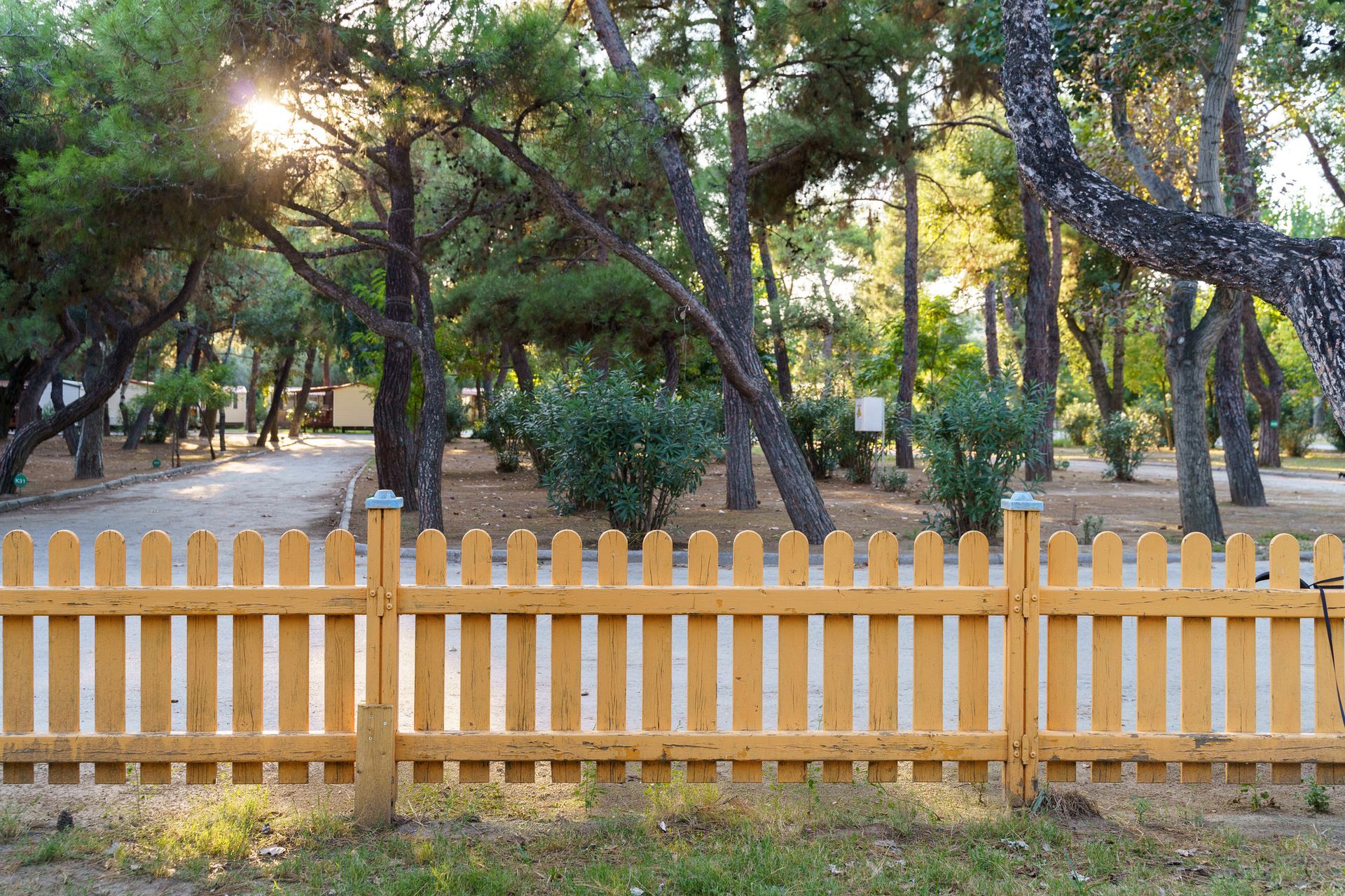 Wooden picket fence in front of a shaded park with trees and sunlight.