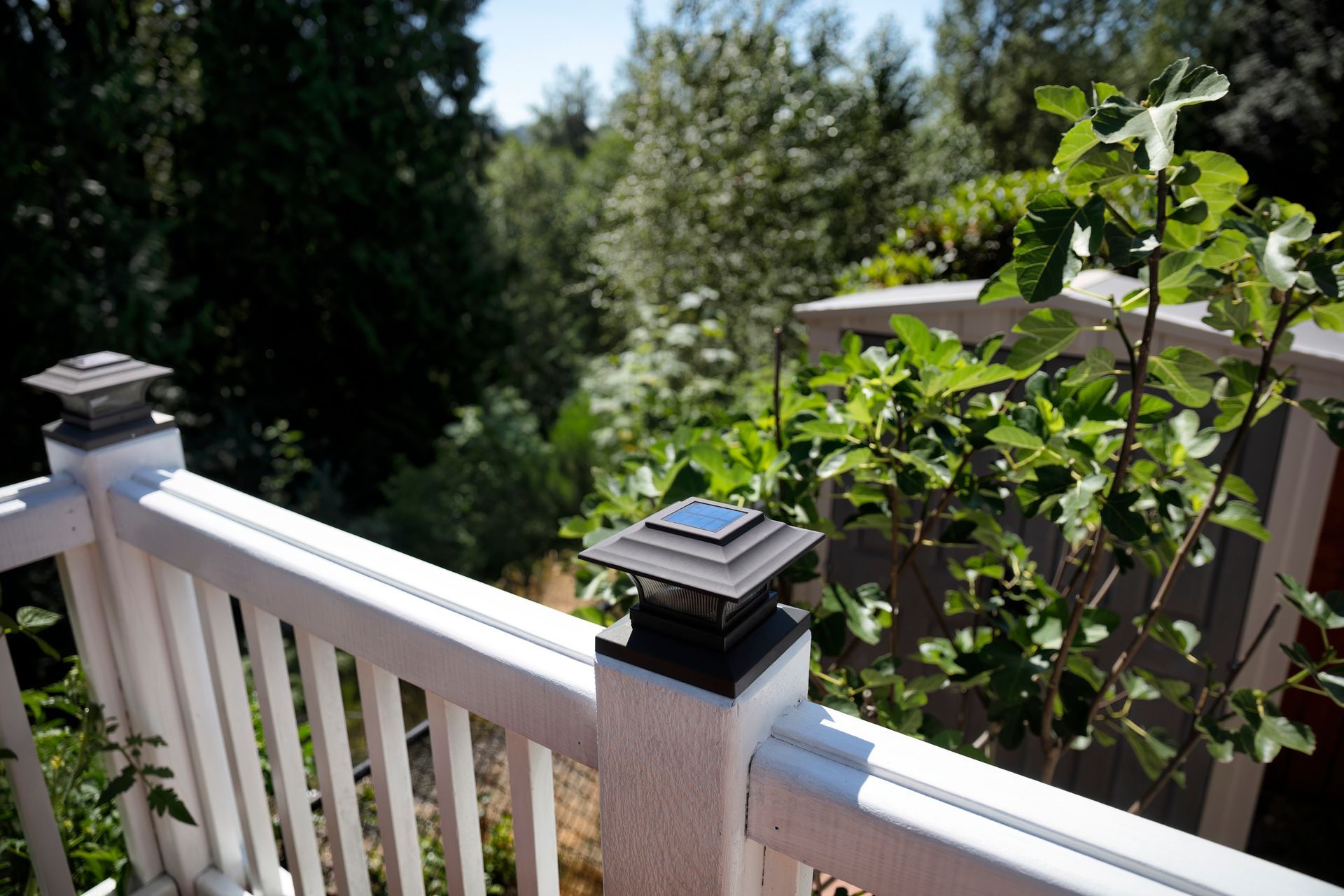 White deck railing with solar-powered lights, lush green foliage in background.