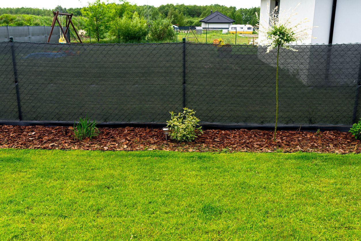 Green lawn in front of a dark privacy fence and garden bed with plants, mulch. A tree stands next to the fence.