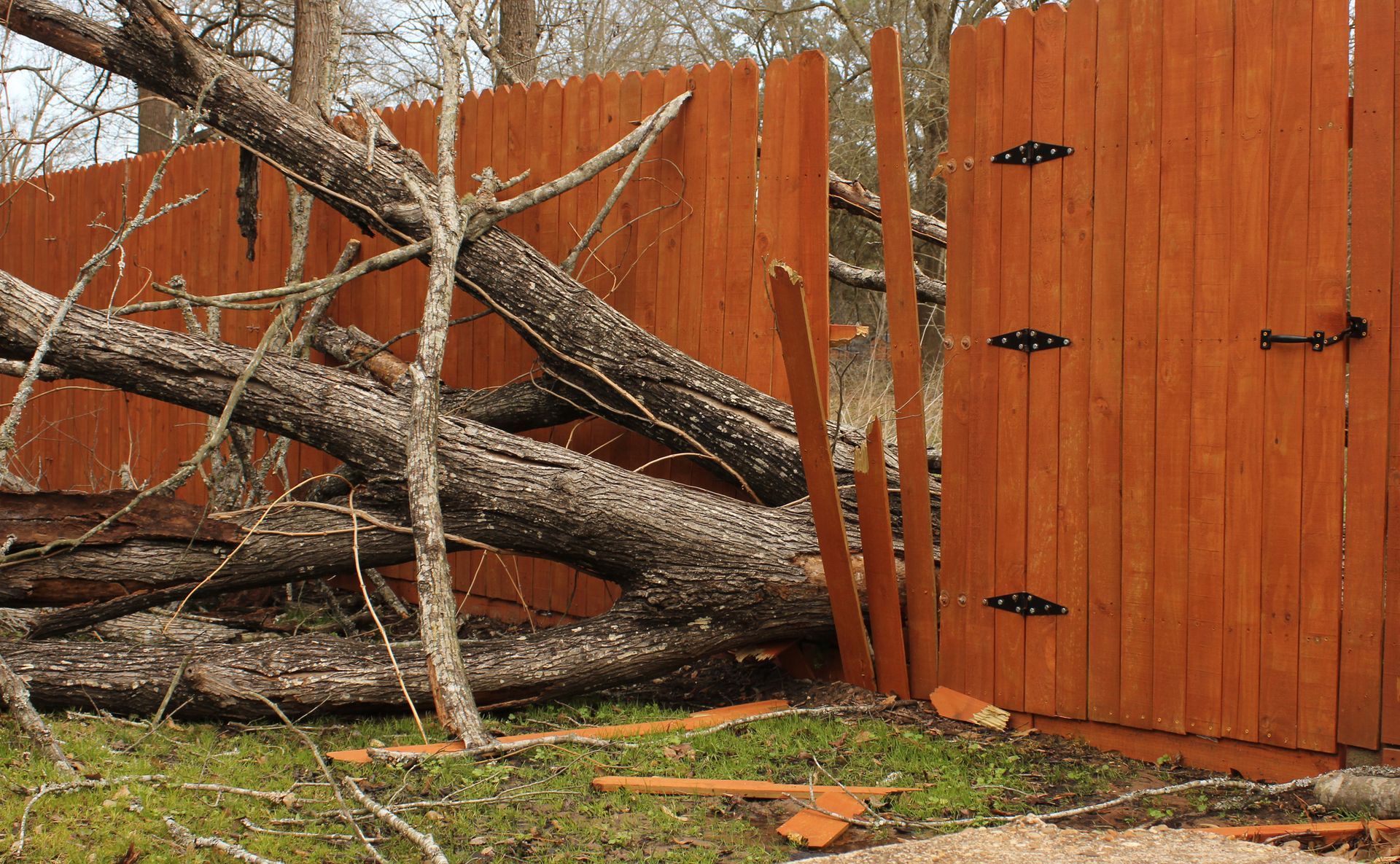 Fallen tree on brown wooden fence, partially breaking it. Green grass visible.