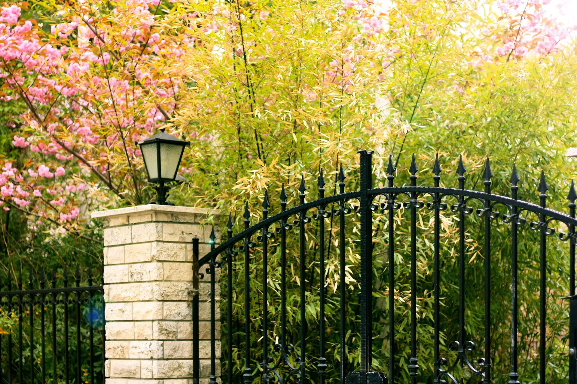 Black wrought-iron fence with a lamp post in front of colorful trees, likely a garden.