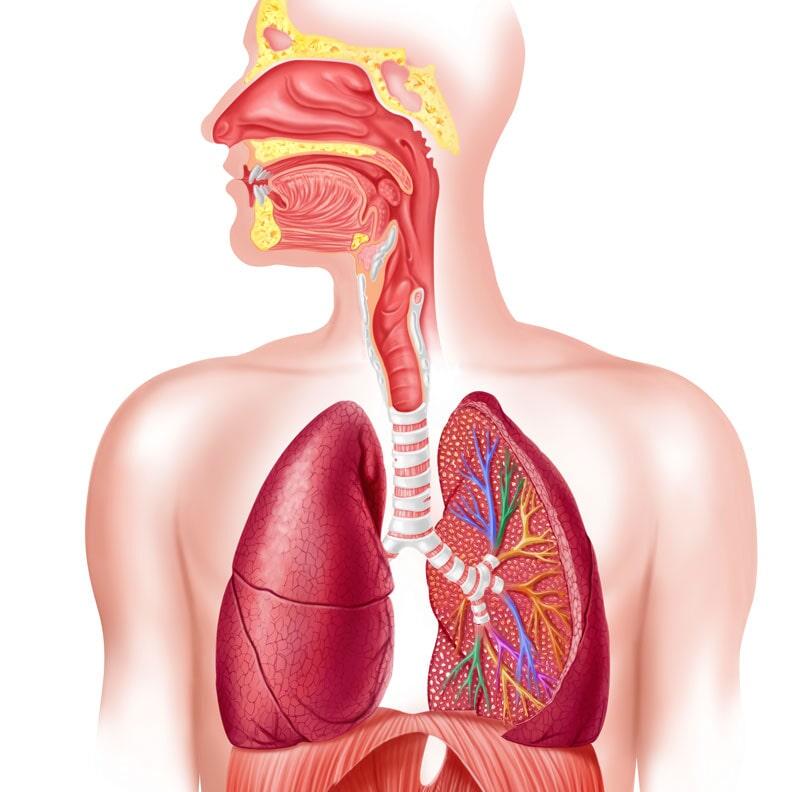 DR. CARLOS ALBERTO GÓMEZ ZAMORA - Neumonía