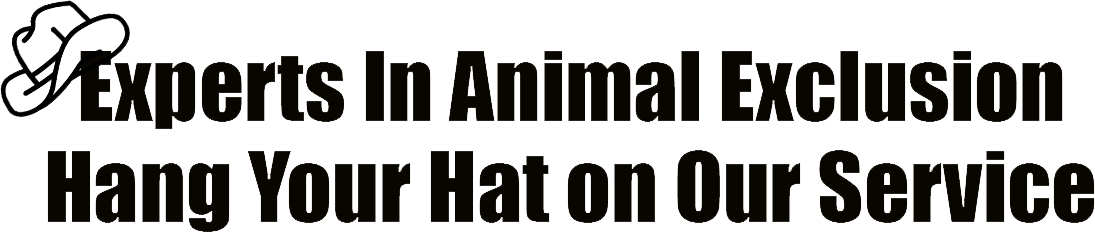 Experts in Animal Exclusion Logo