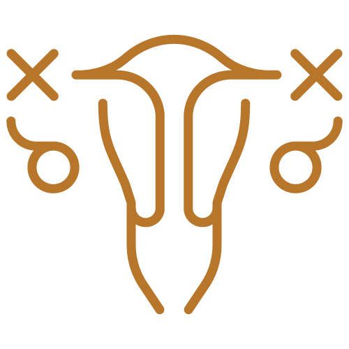 Spaying icon — Festus, MO — Rebecca Darland Pet Clinic