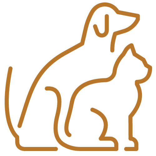 Neutering icon — Festus, MO — Rebecca Darland Pet Clinic