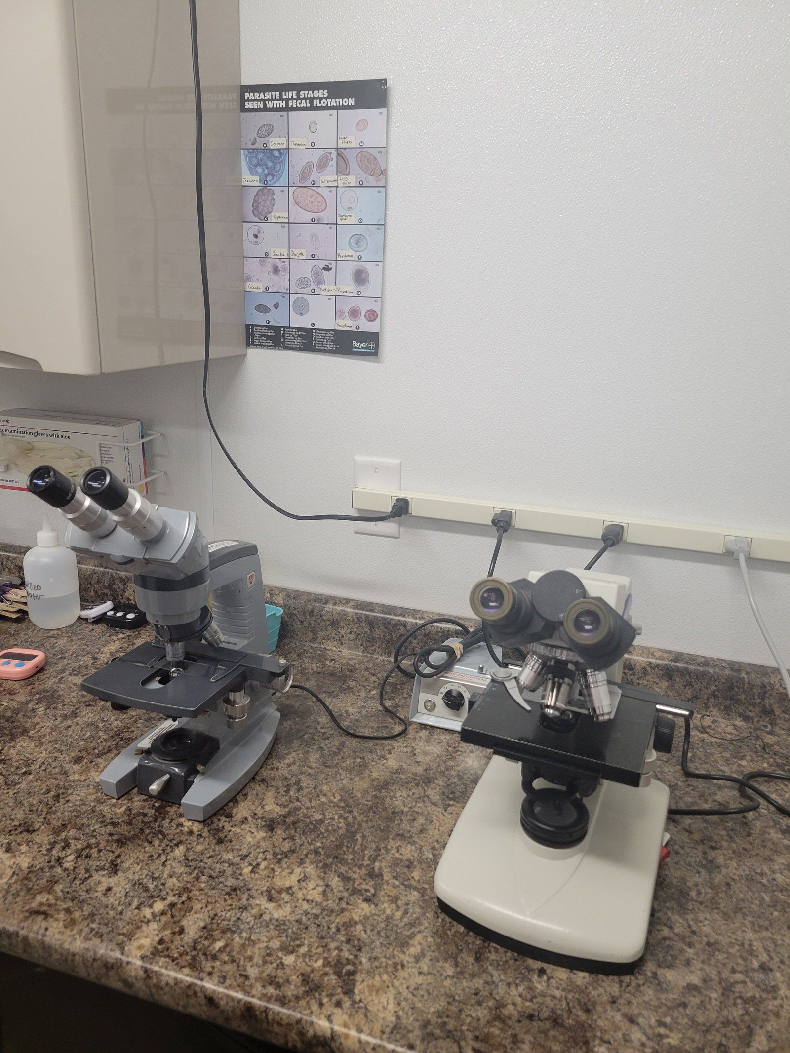 Laboratory equipment — Festus, MO — Rebecca Darland Pet Clinic
