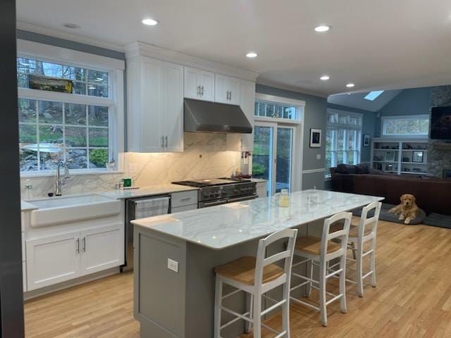 cute dog admiring elegant kitchen remodel