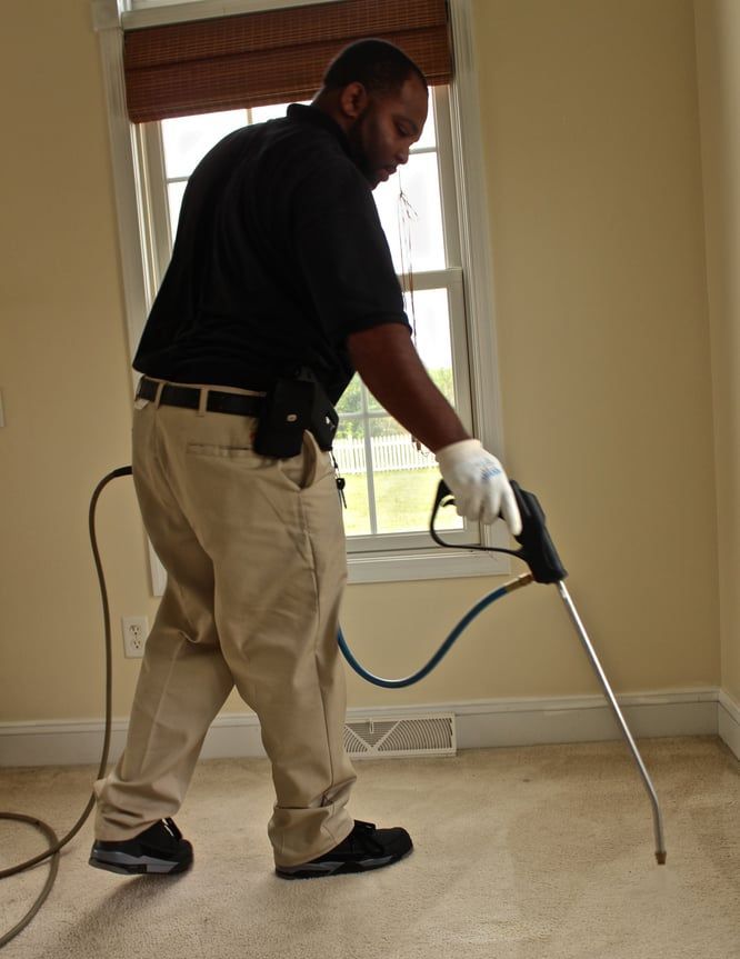 A man is spraying a carpet with a sprayer