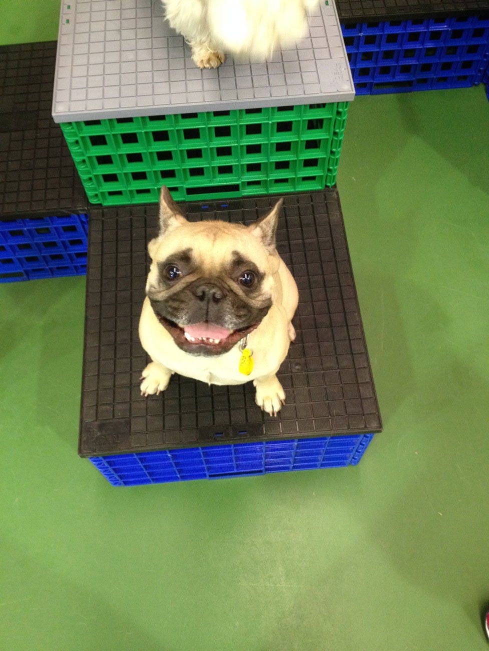 office cubicle dividers